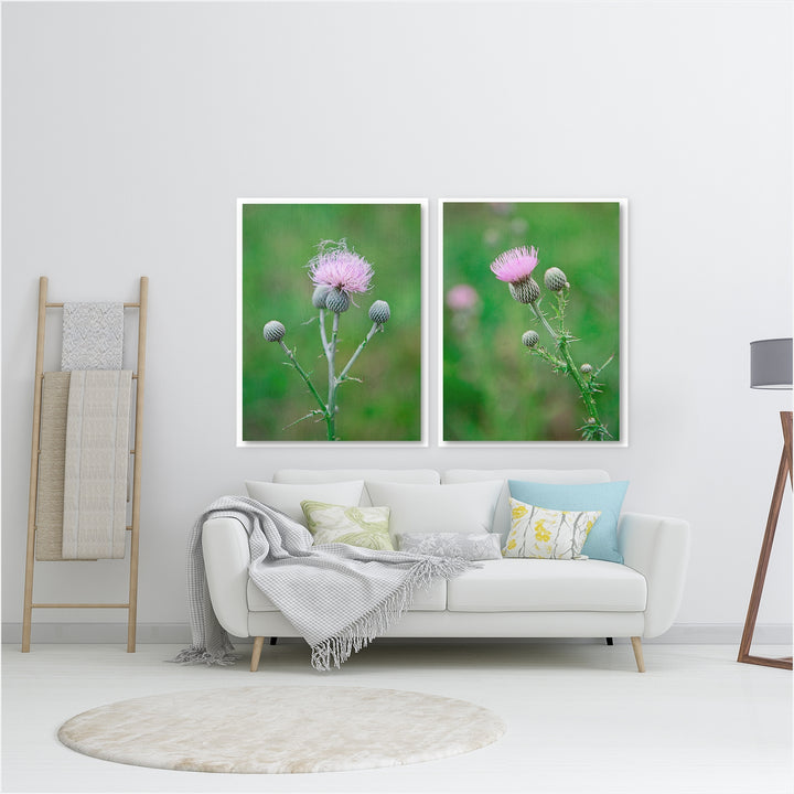 Thistle Collection 1 - Set of 2