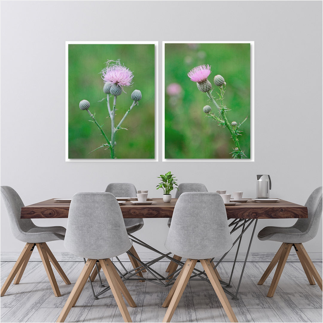Thistle Collection 1 - Set of 2