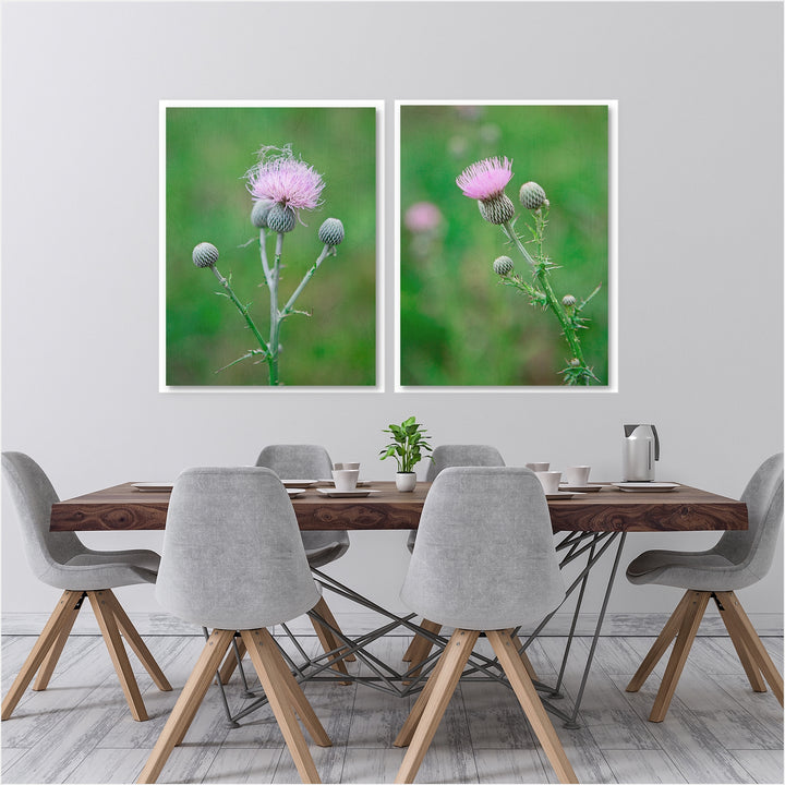 Thistle Collection 1 - Set of 2