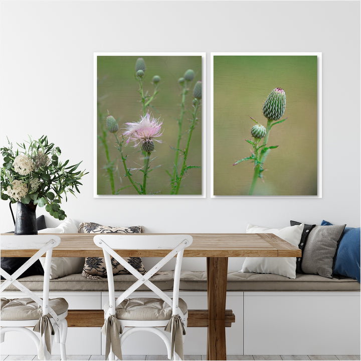 Thistle Collection 2 - Set of 2