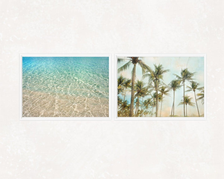 Miami Palms + Water Collection - Catch A Star Fine Art