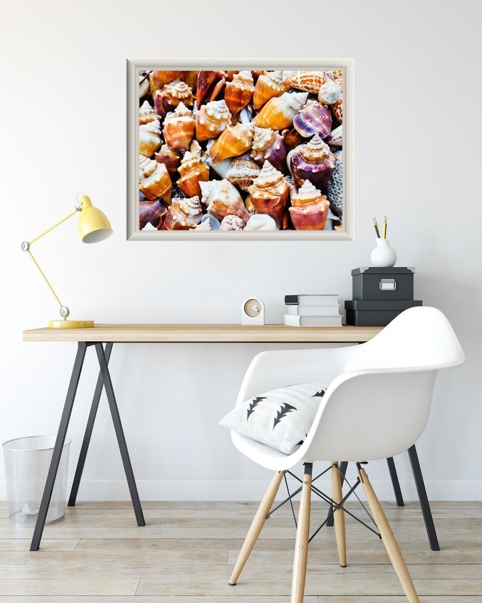 Seashells Nautical Beach Print - Catch A Star Fine Art