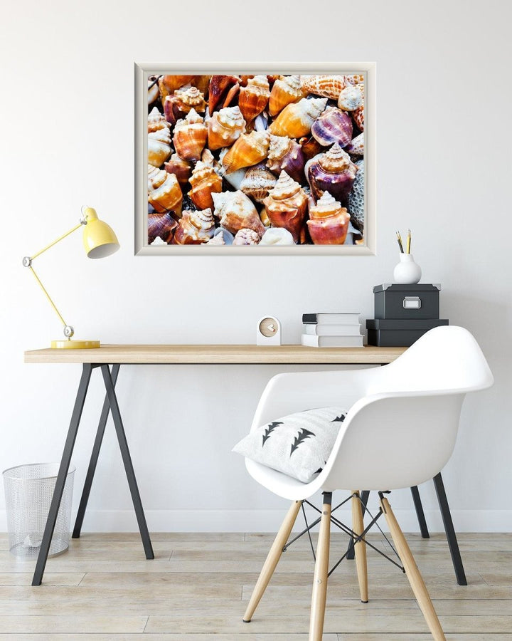 Seashells Nautical Beach Print - Catch A Star Fine Art