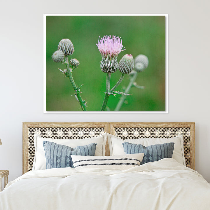 Thistle #10