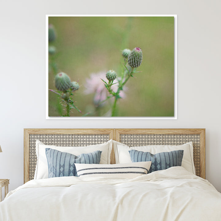 Thistle #2