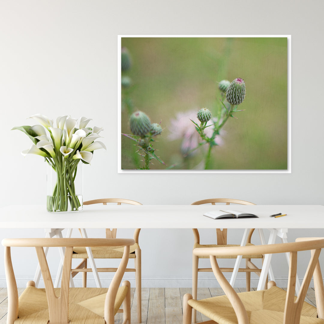 Thistle #2