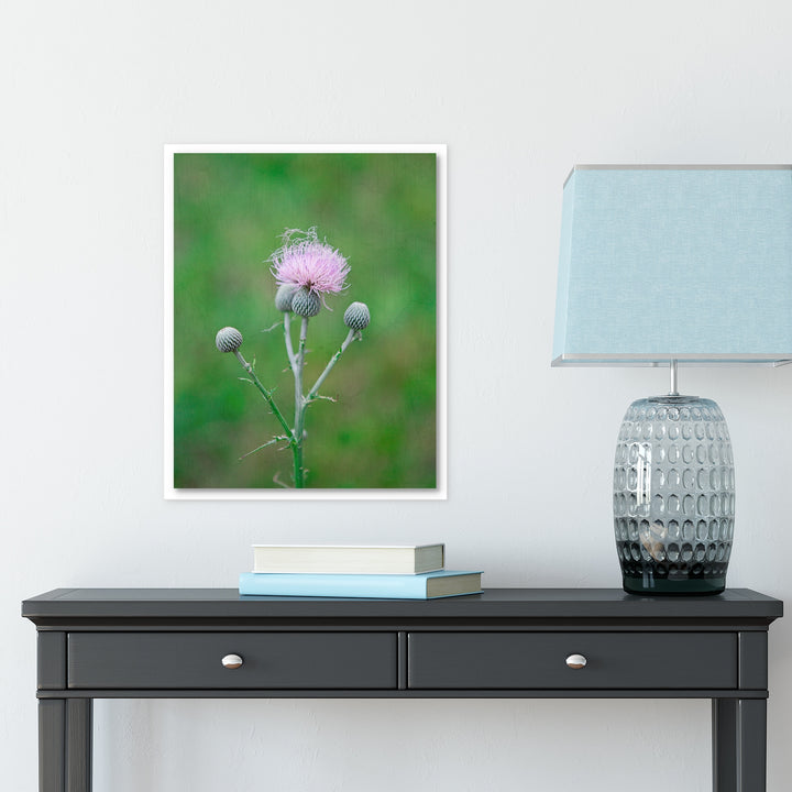 Thistle #6