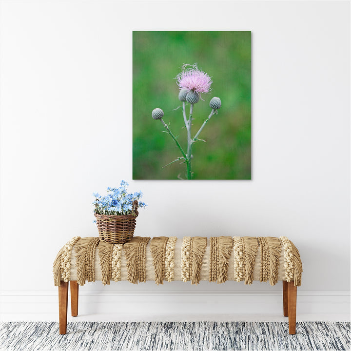 Thistle #6