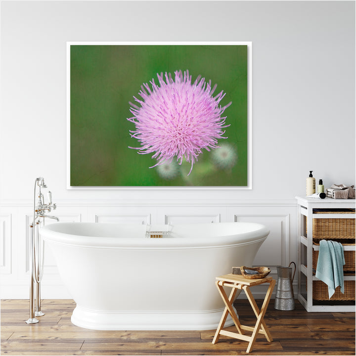 Thistle #9