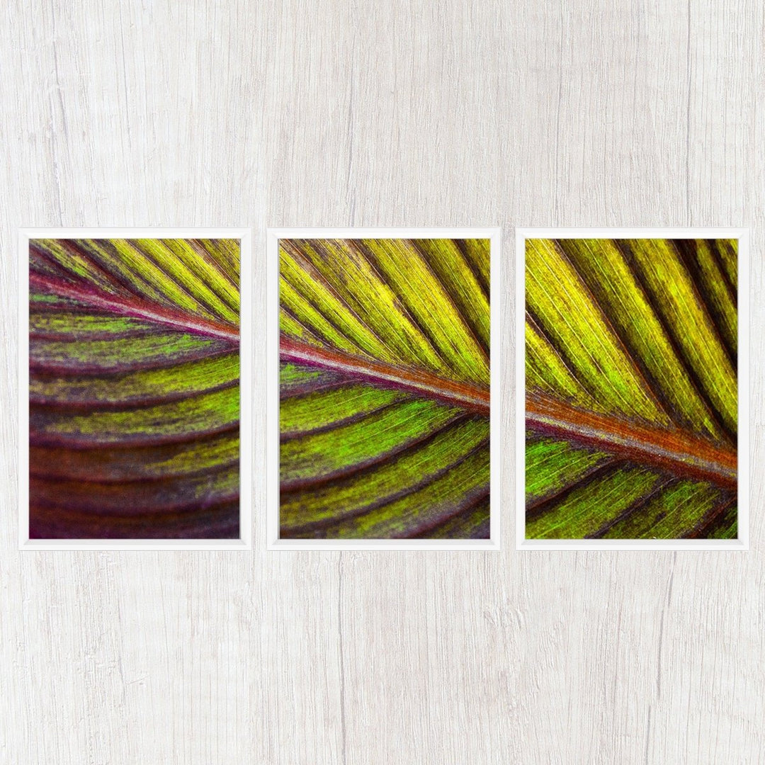 Botanical Triptych Gallery Wall Collection - Catch A Star Fine Art