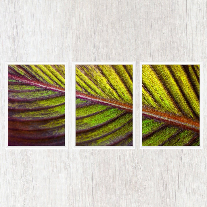Botanical Triptych Gallery Wall Collection - Catch A Star Fine Art