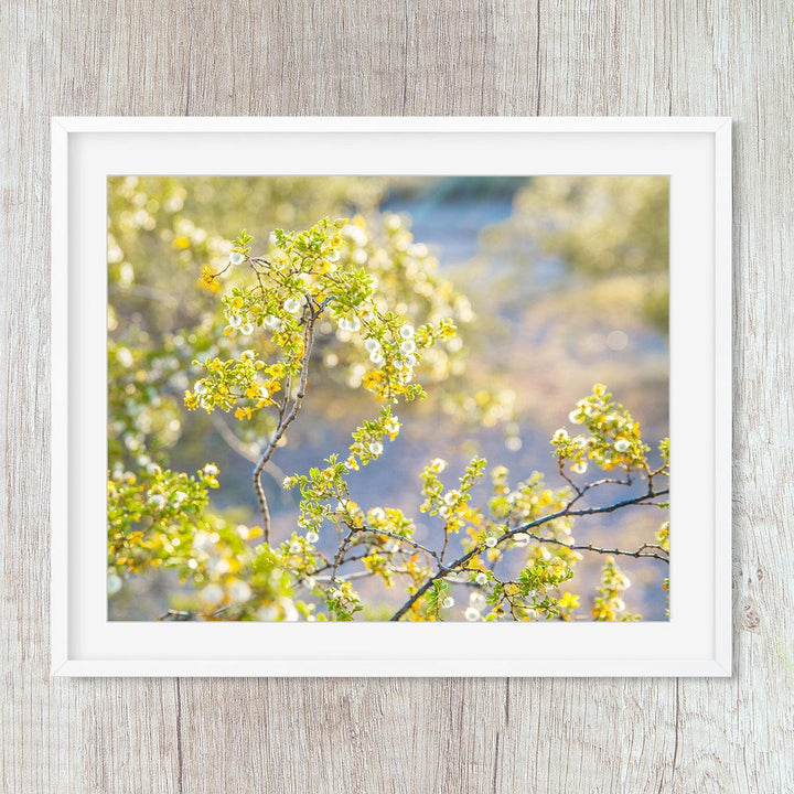 Golden Yellow Blooming Botanical Flower Wall Decor - Catch A Star Fine Art