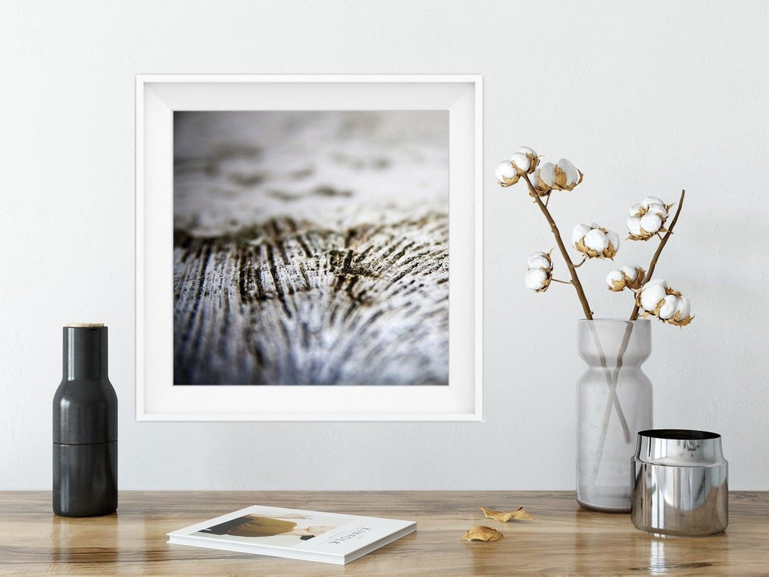 5x5 Abstract Coral Print - Catch A Star Fine Art