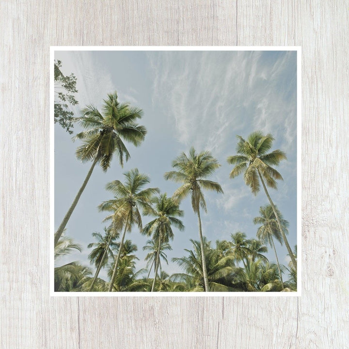 5x5 Palm Trees Art Print - Catch A Star Fine Art