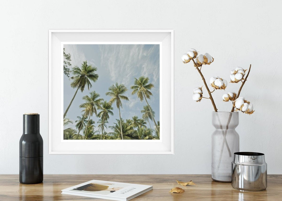 5x5 Palm Trees Art Print - Catch A Star Fine Art
