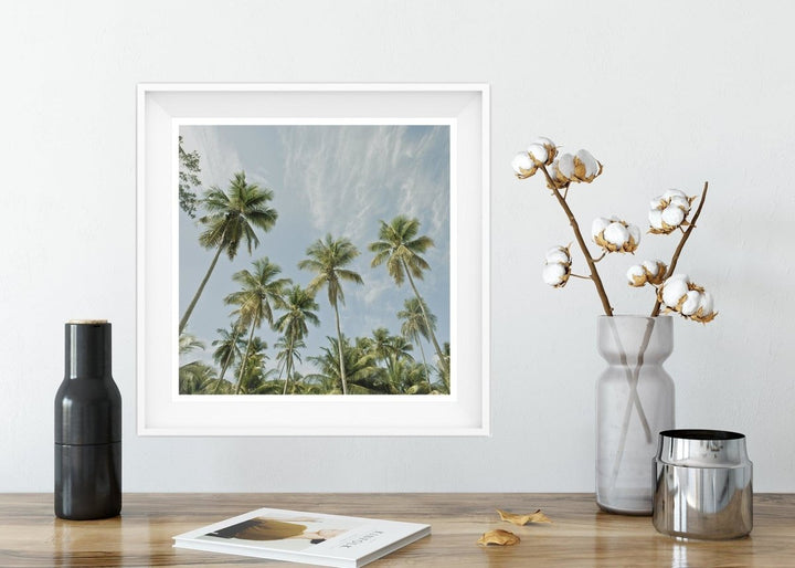 5x5 Palm Trees Art Print - Catch A Star Fine Art