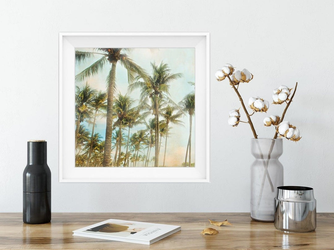5x5 Miami Palm Trees Print - Catch A Star Fine Art