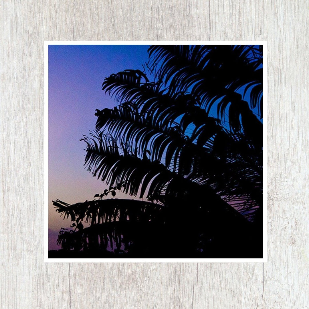 5x5 Palm Sunset Art Print – Catch A Star Fine Art
