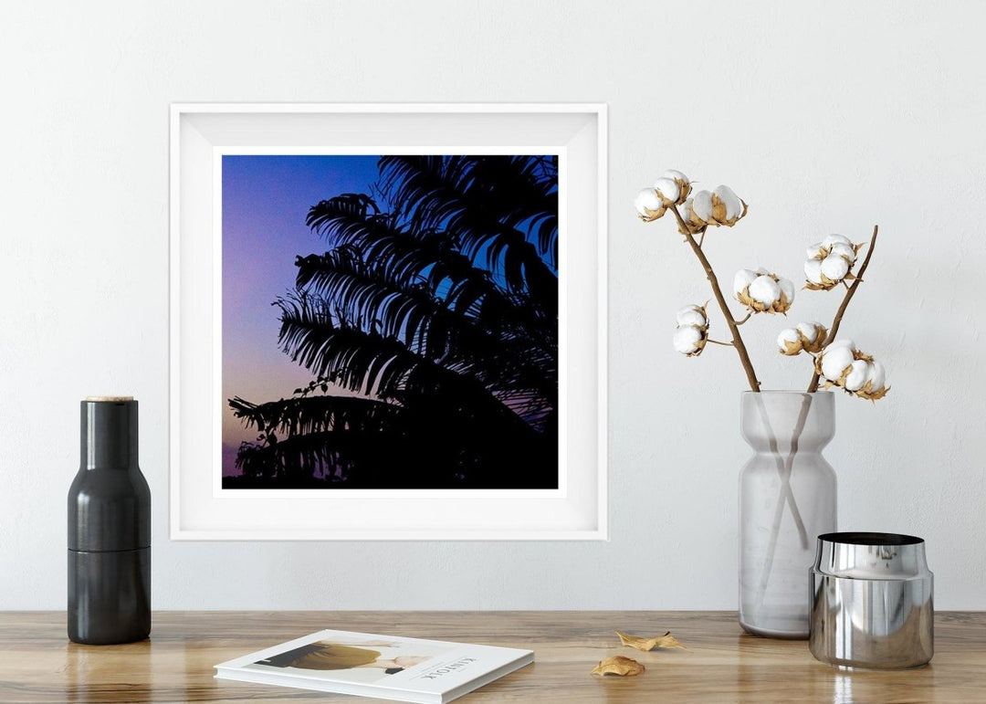 5x5 Palm Sunset Art Print - Catch A Star Fine Art