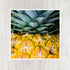5x5 Pineapple Art Print