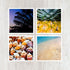 Set of 4 5x5 Colorful Tropical Beach Art Prints