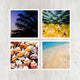 Set of 4 5x5 Colorful Tropical Beach Art Prints - Catch A Star Fine Art