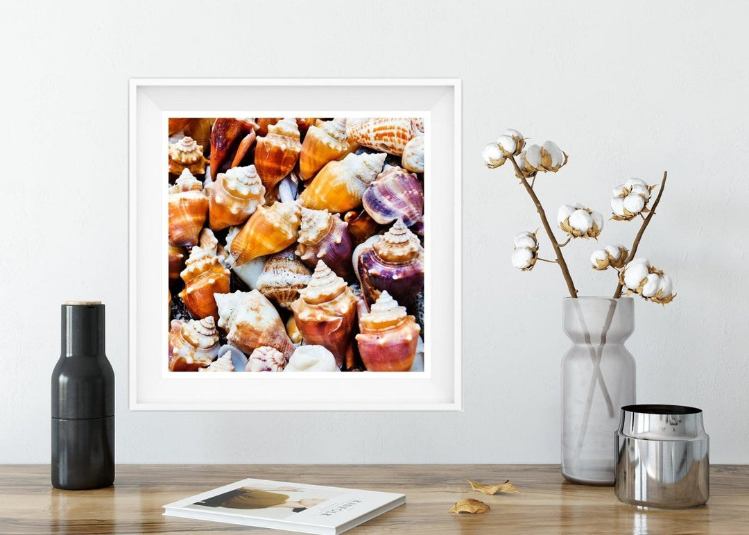 5x5 Seashells Beach Art Print - Catch A Star Fine Art
