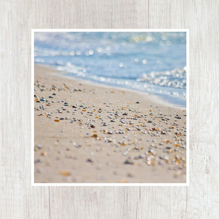 5x5 Shoreline Shells Print - Catch A Star Fine Art