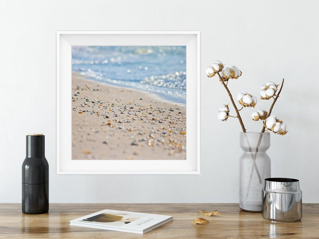 5x5 Shoreline Shells Print - Catch A Star Fine Art