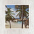 5x5 Hidden Bay Palm Trees Art Print - Catch A Star Fine Art