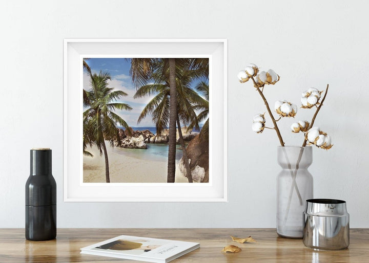 5x5 Hidden Bay Palm Trees Art Print - Catch A Star Fine Art