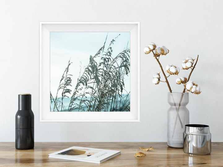 5x5 Teal Sea Oats Print - Catch A Star Fine Art
