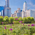 Chicago City Photography Millenium Park