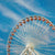Navy Pier Whimsical Chicago Ferris Wheel Urban Art