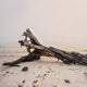 tranquil foggy coastal scene with soft beige tones, large rustic driftwood on sand, available in canvas or art print