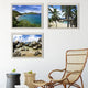 British Virgin Islands Beach Collection - Catch A Star Fine Art