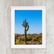 Saguaro Cactus Desert Landscape Print