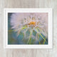 dandelion close up, colorful abstract detailed pink and green flower art, available in canvas and art prints