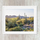 Desert View Saguaro Cactus Landscape Art - Catch A Star Fine Art