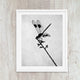 silhouette of a dragonfly insect on a small branch with mottled background, black and white art print