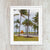 Miami Beach Photography, Palm Tree Wall Art Prints