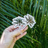Palm Tree Stickers - set of 2 / medium