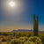 Desert Sunset Saguaro Cactus Landscape Art