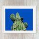 Saguaro Desert Cactus Southwest Print #1 - Catch A Star Fine Art