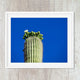 Saguaro Desert Cactus Southwest Print #2 - Catch A Star Fine Art
