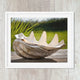 Seashells Nautical Beach Coastal Art Print
