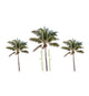 Palm Tree Stickers - set of 3 - Catch A Star Fine Art