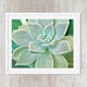 Close up of green succulent botanical cactus, plant photography available in canvas or art prints