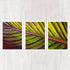 Botanical Triptych Gallery Wall Collection